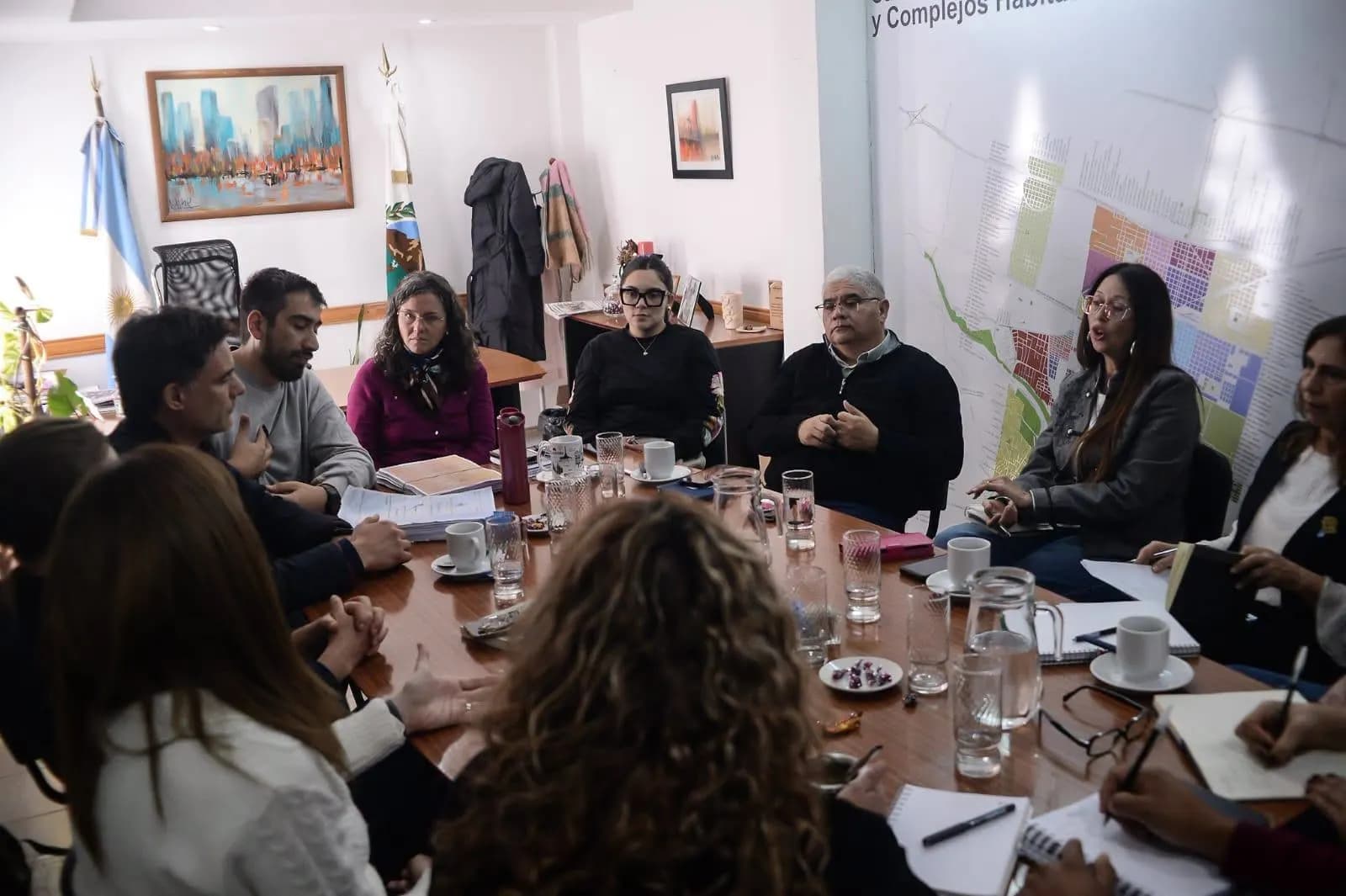 Plenario Plan Ordenamiento Territorial